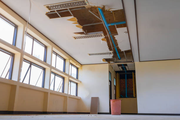 Best Flooded house restoration  in , VT