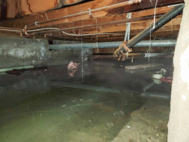 Best Water damage cleanup near me  in , VT