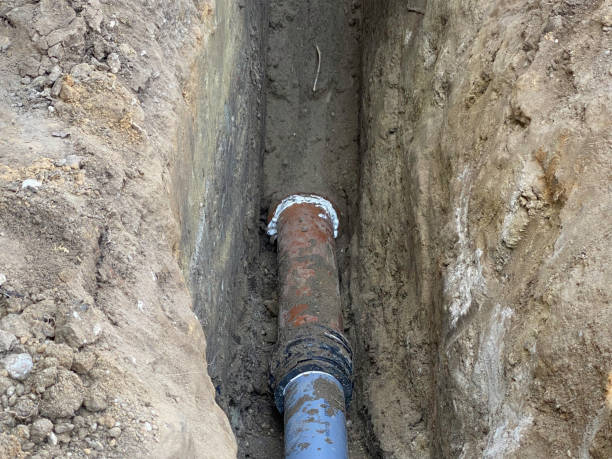 Best Professional water damage repair  in , VT