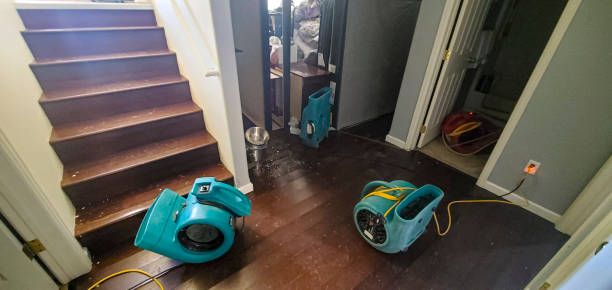 Best Basement water damage restoration  in , VT