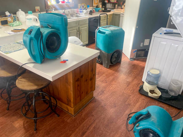 Best 24/7 water damage repair  in , VT