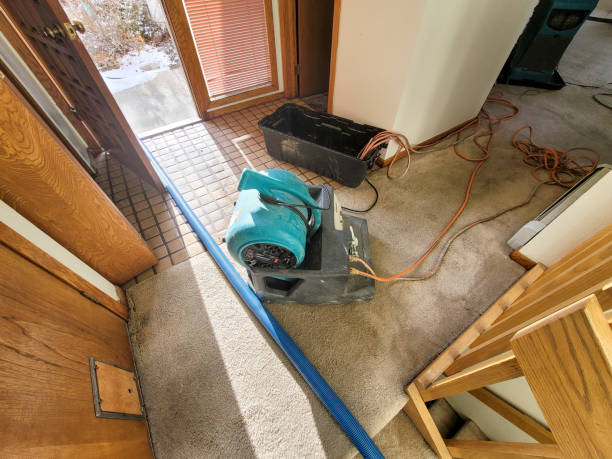 Best Water damage contractors near me  in , VT