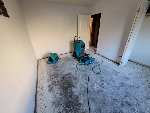 Best Basement water damage restoration  in , VT