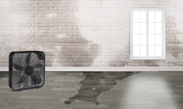 Best Emergency water damage restoration  in , VT