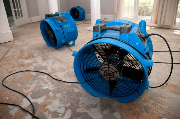 Best Local water damage restoration  in , VT