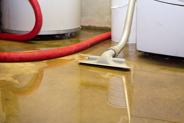 Best Water damage mitigation services  in , VT