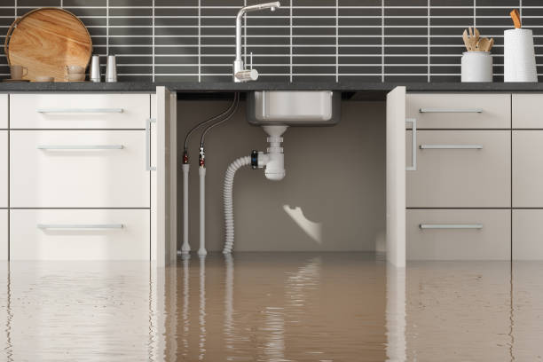 Best Water damage repair service  in , VT