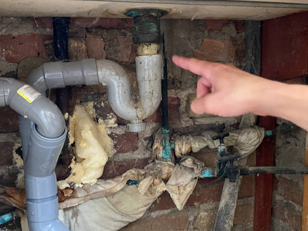 Best Basement water damage restoration  in , VT