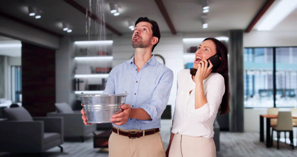 Best Mold removal after water damage  in , VT