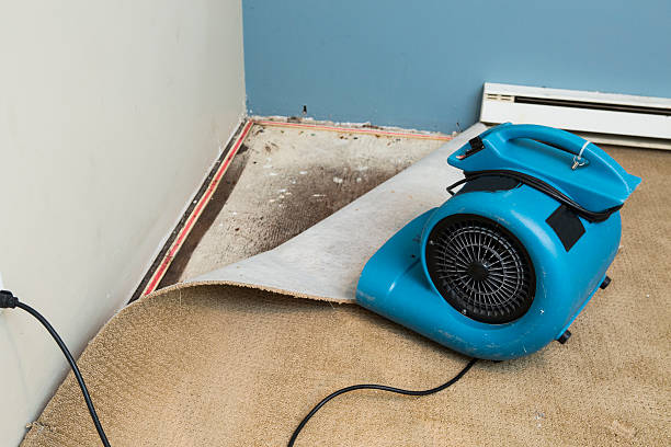 Best Residential water damage restoration  in , VT